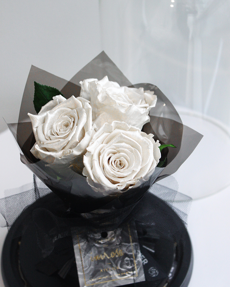 white rose gift