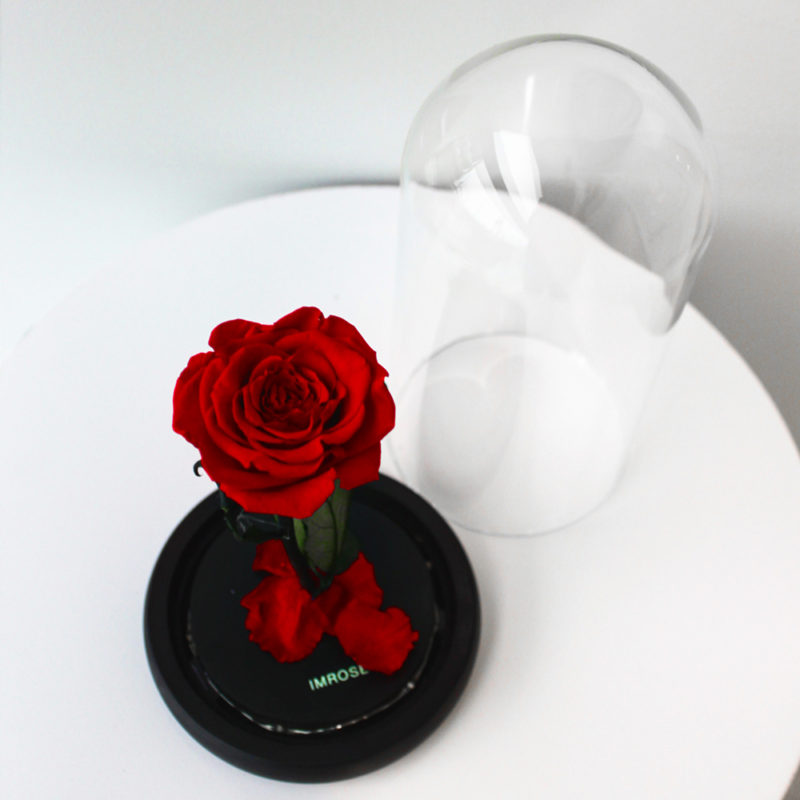 red rose gift