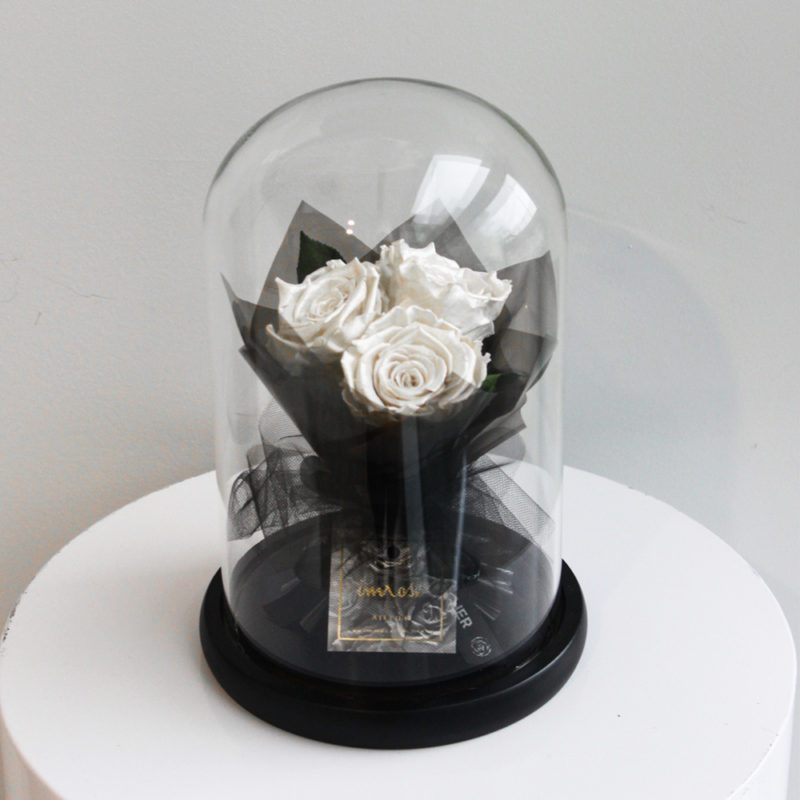 white rose gift