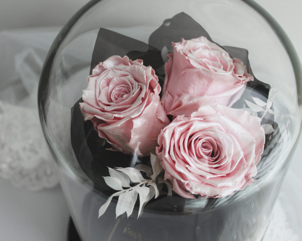 baby pink flower gift
