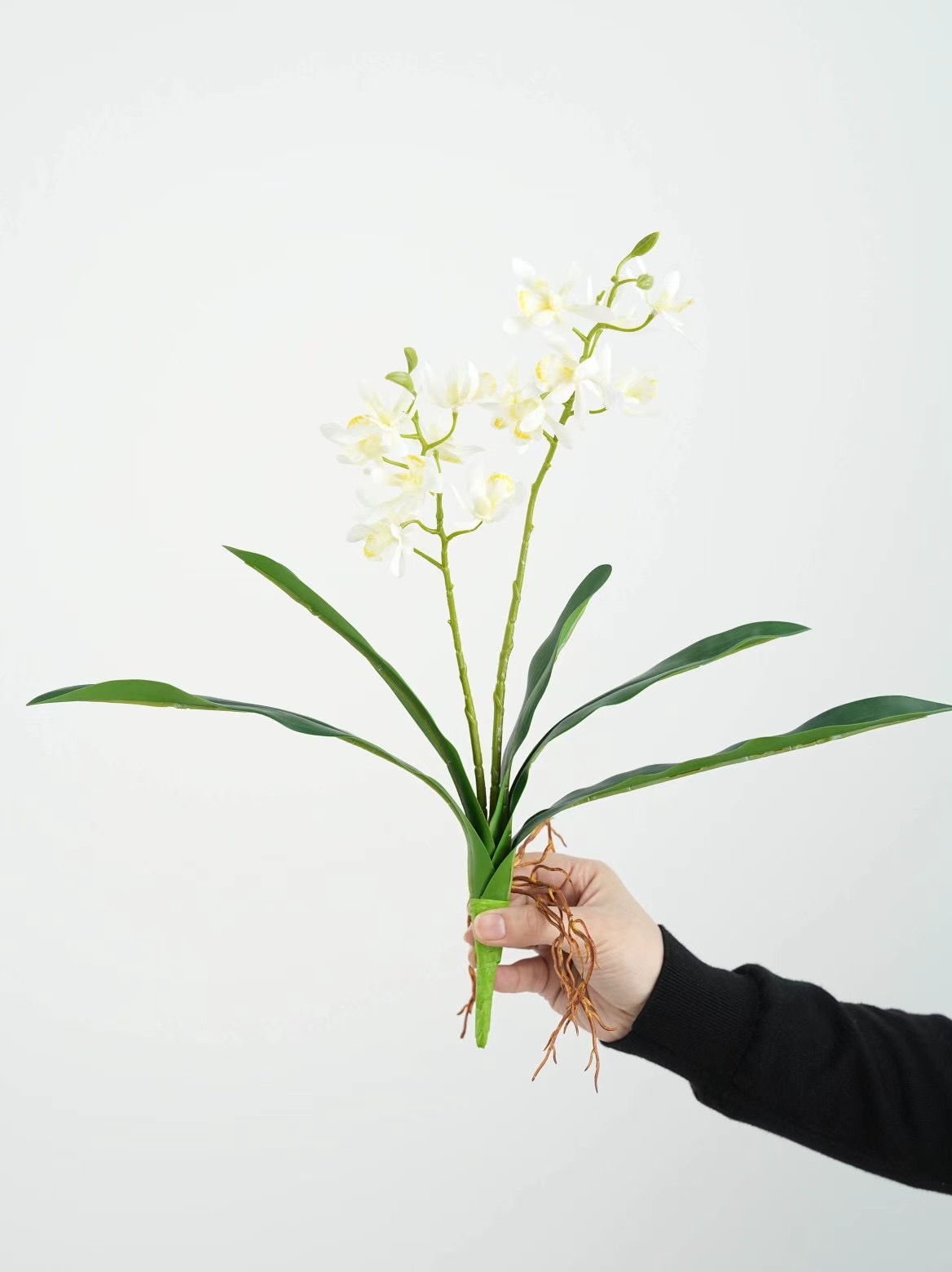 Mini orchid