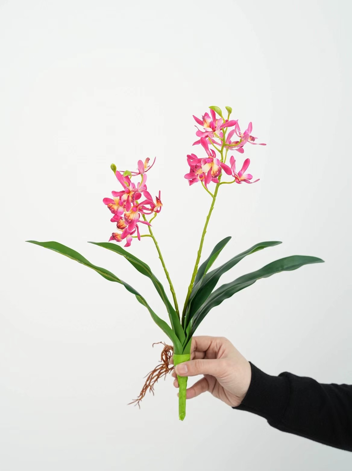 Mini orchid