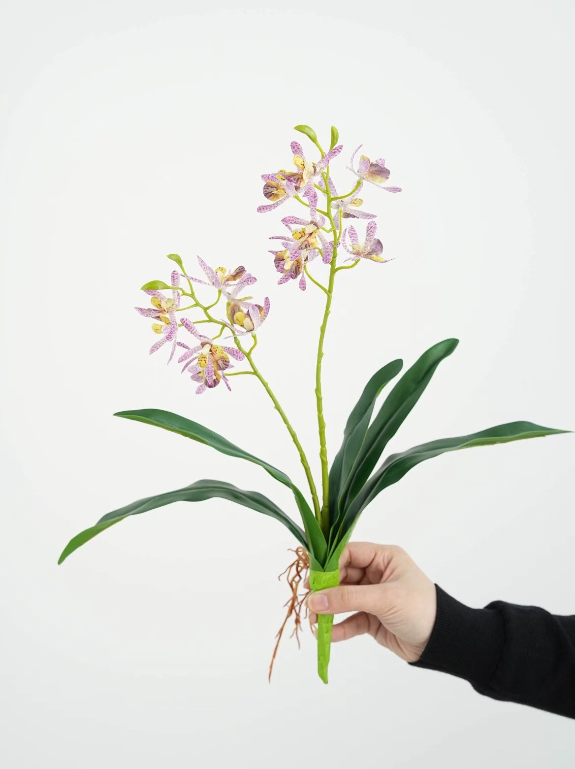 Mini orchid