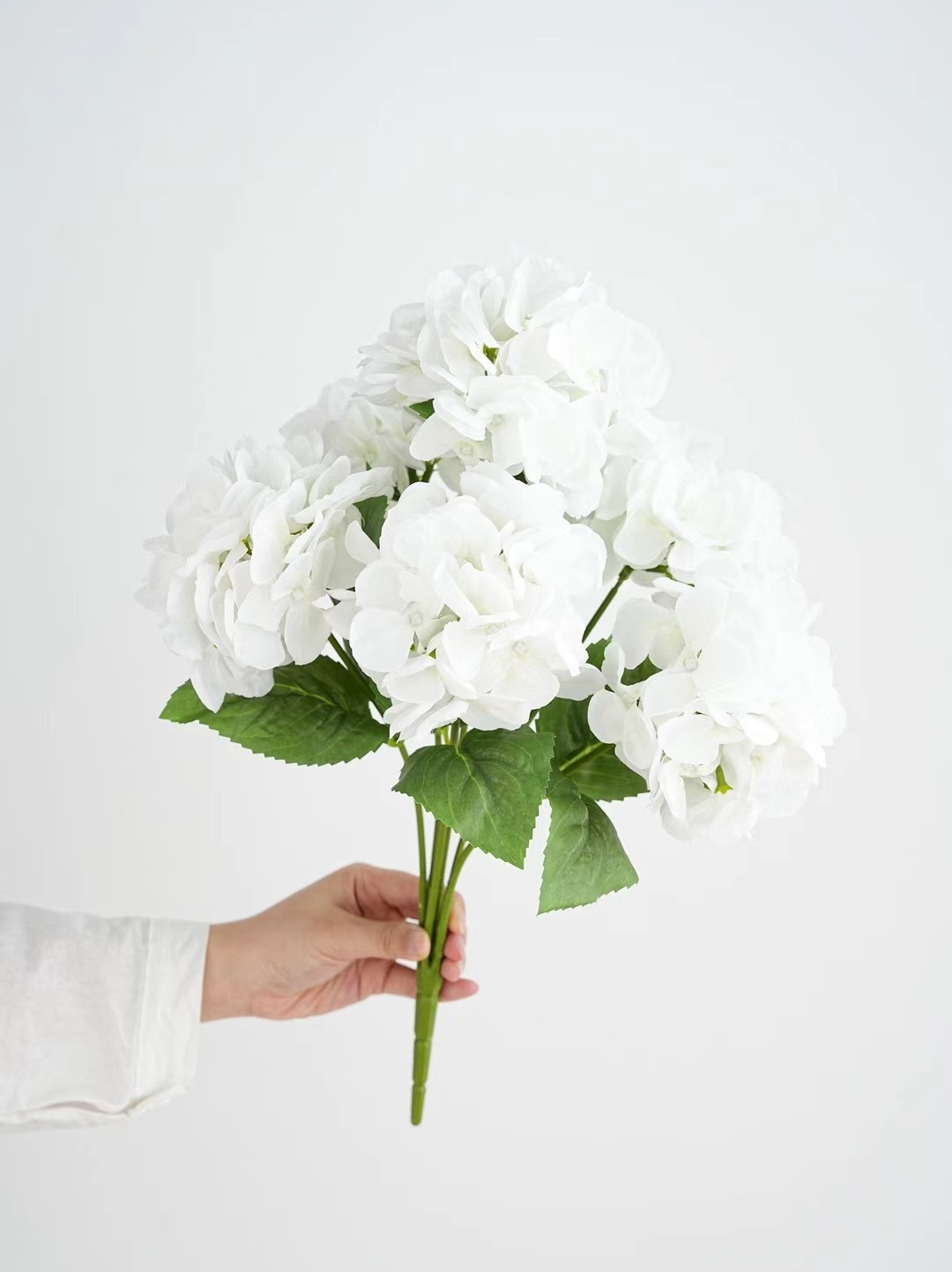 hydrangea bunch