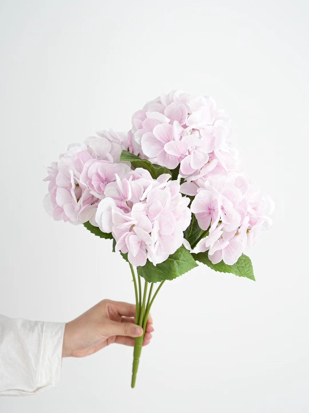 hydrangea bunch