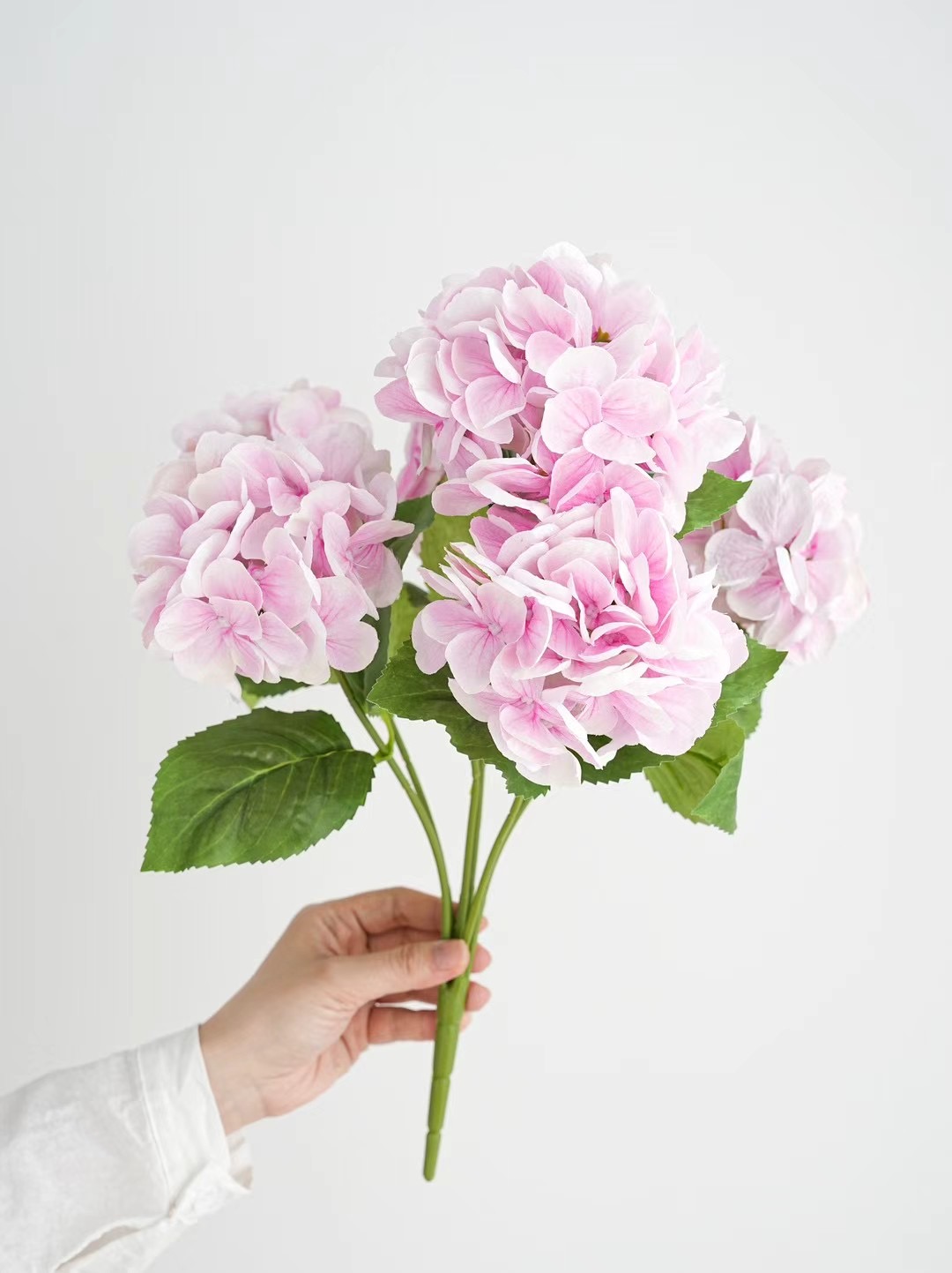 hydrangea bunch