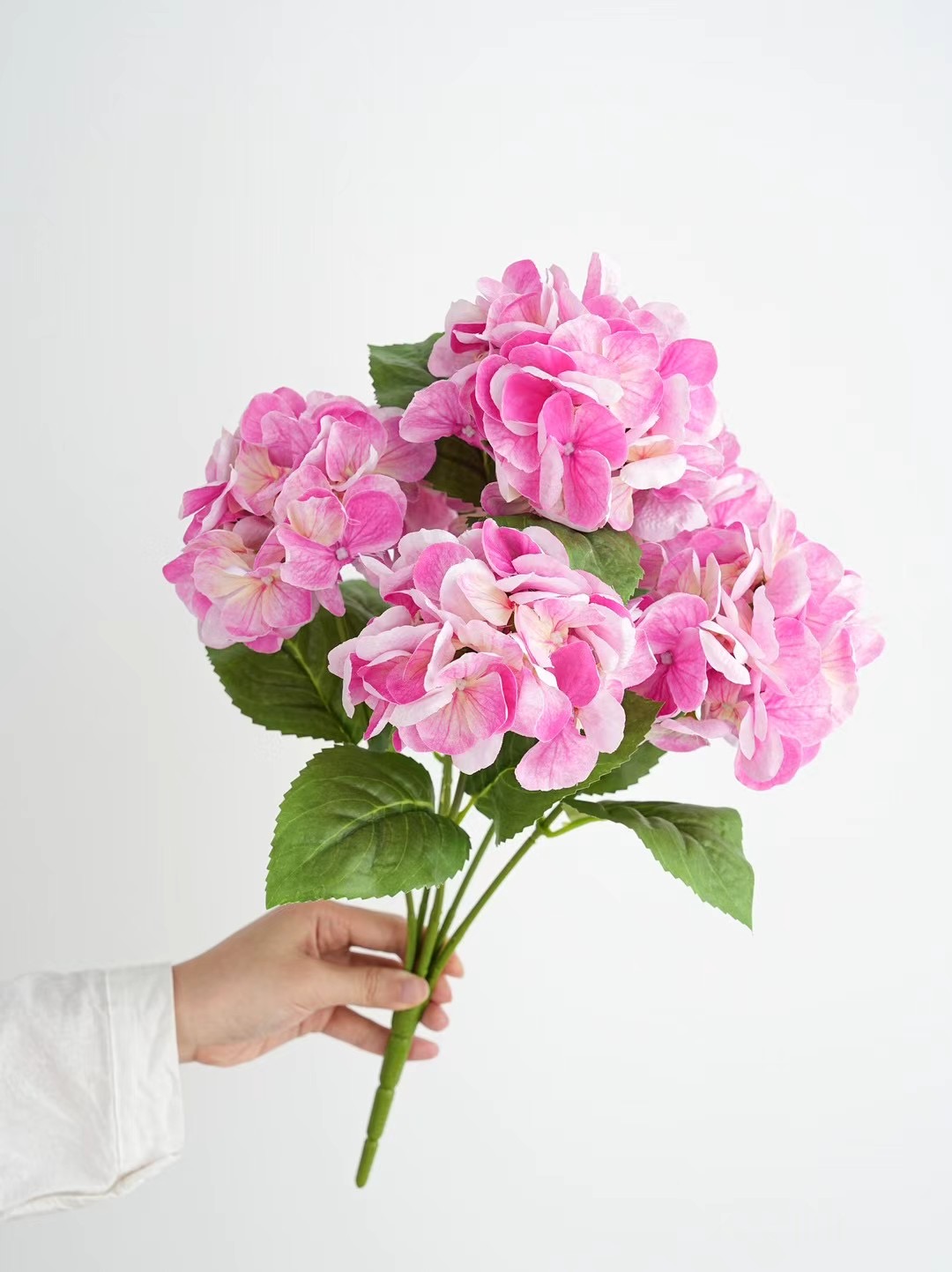 hydrangea bunch