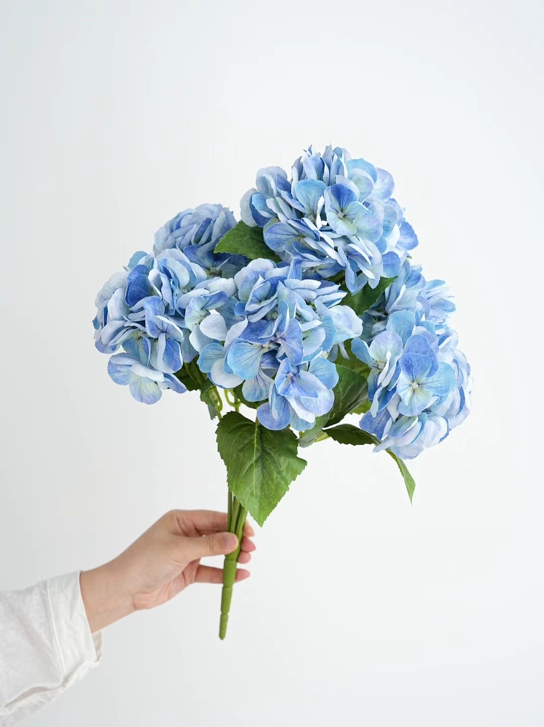hydrangea bunch