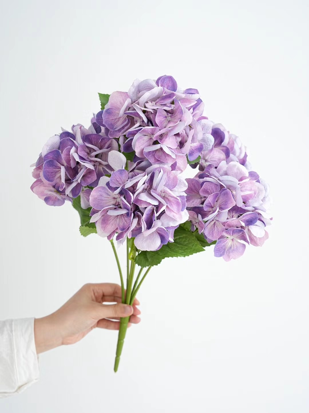 hydrangea bunch