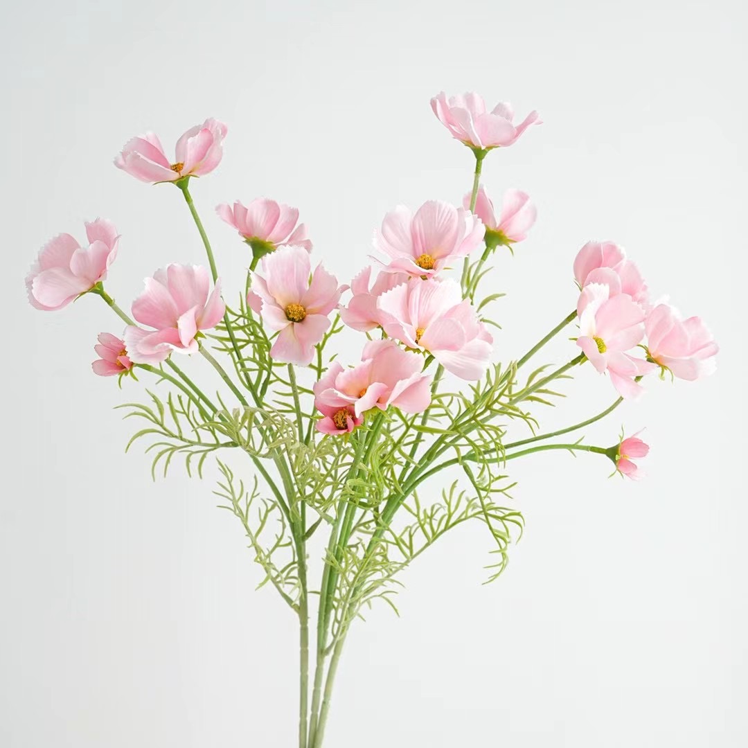 shrubby cinquefoil