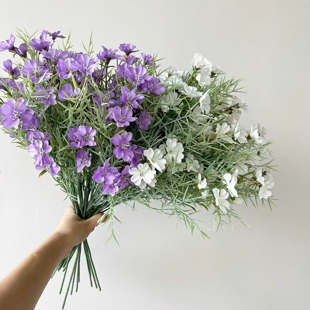 wild chrysanthemum