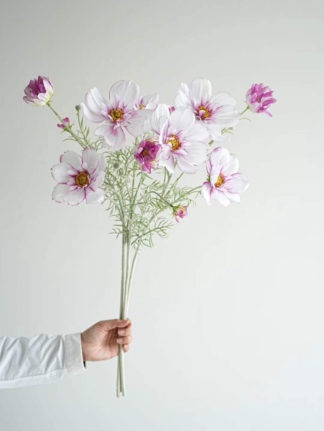 Cosmos