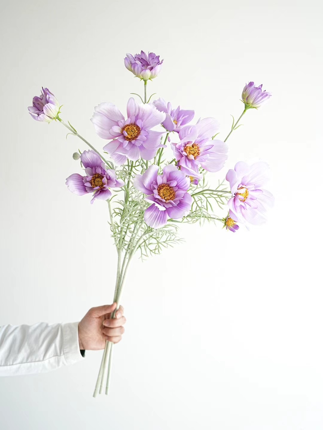 Cosmos
