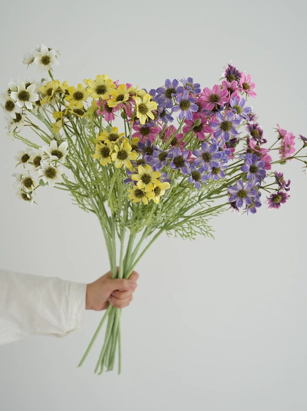 wild chrysanthemum