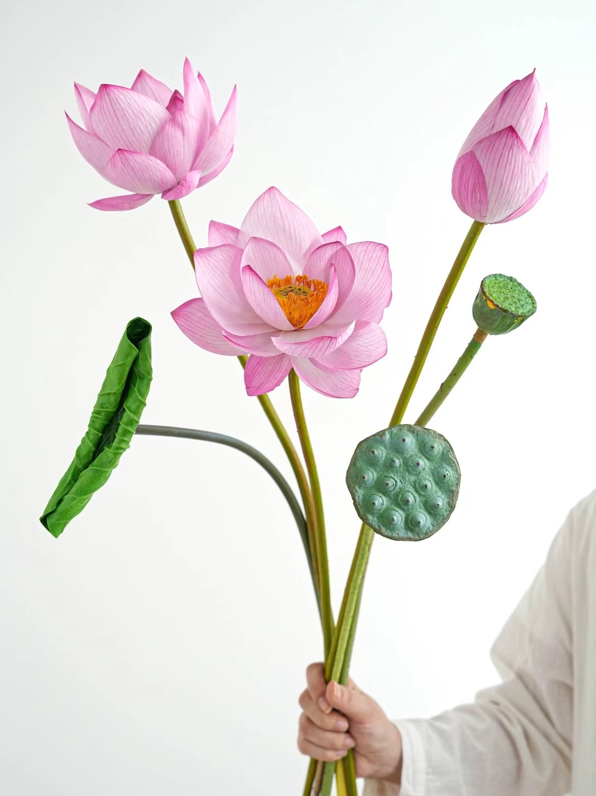 Lotus bunch