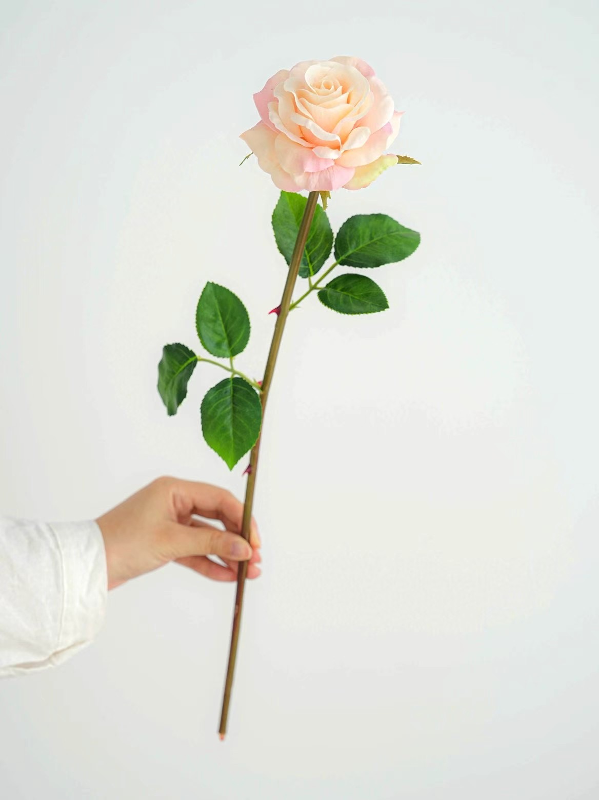 rose