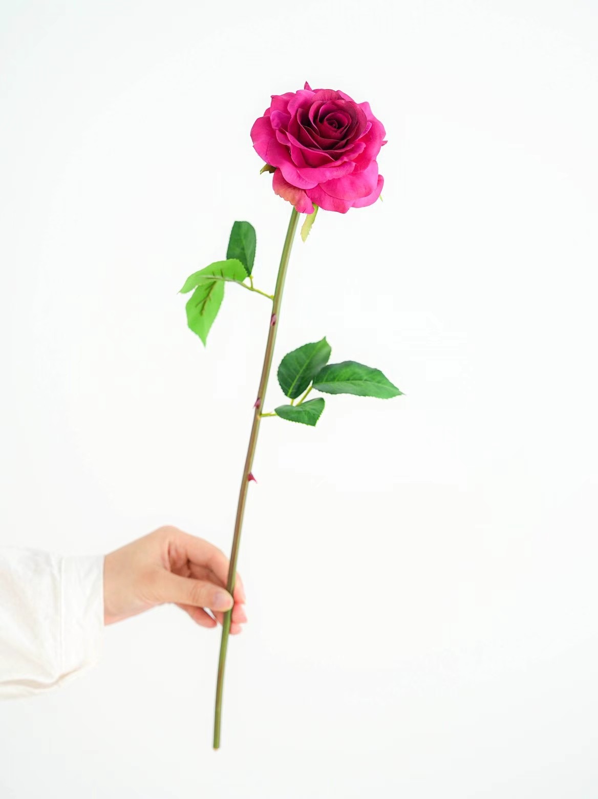rose