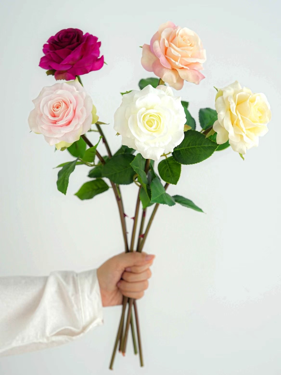 rose