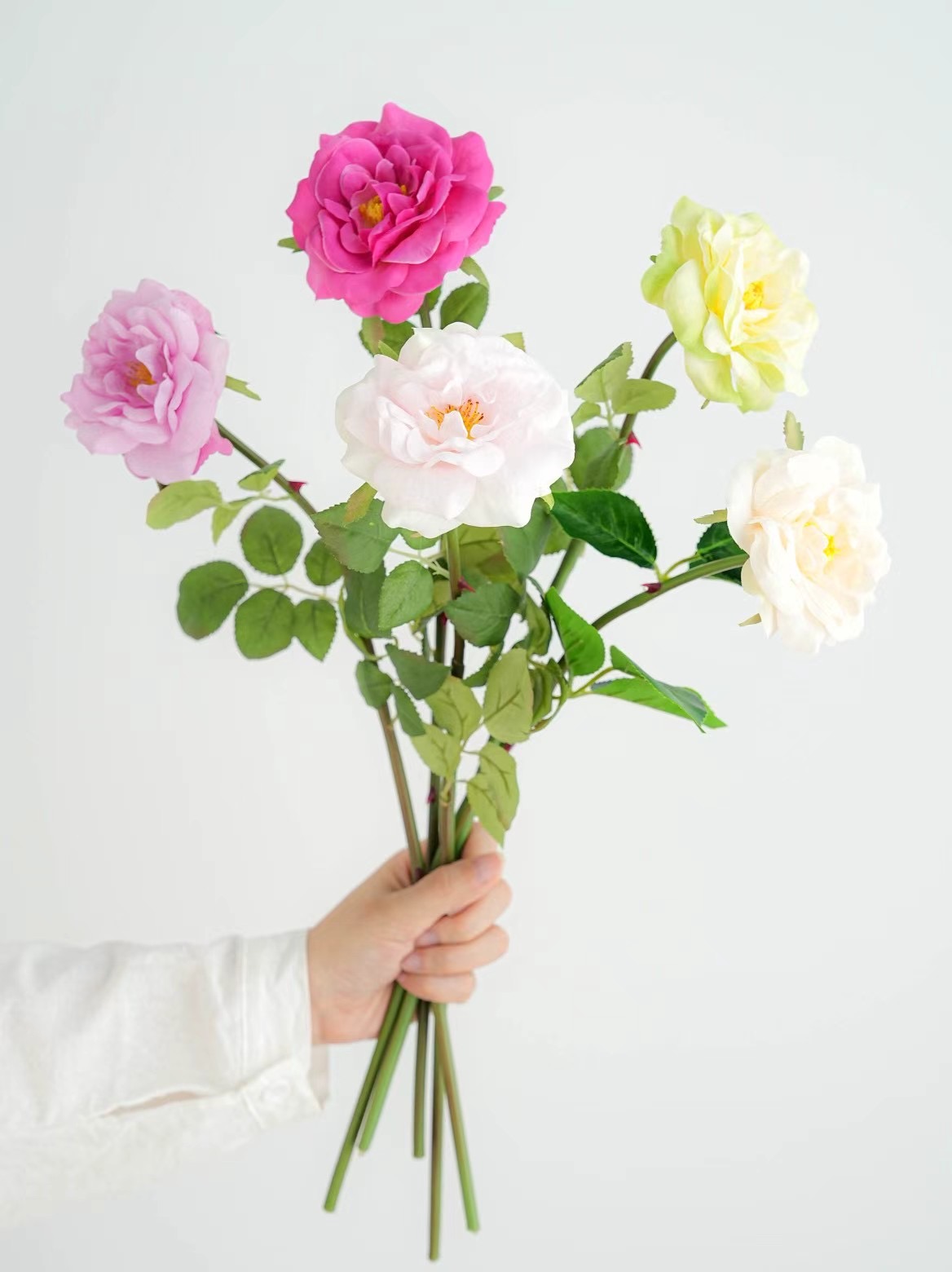 rose