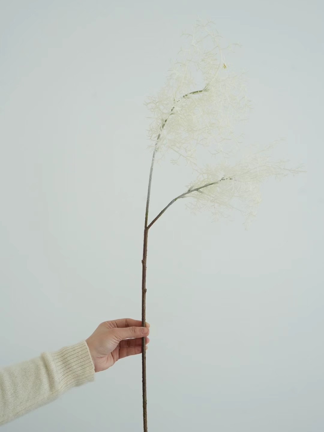 smoke tree