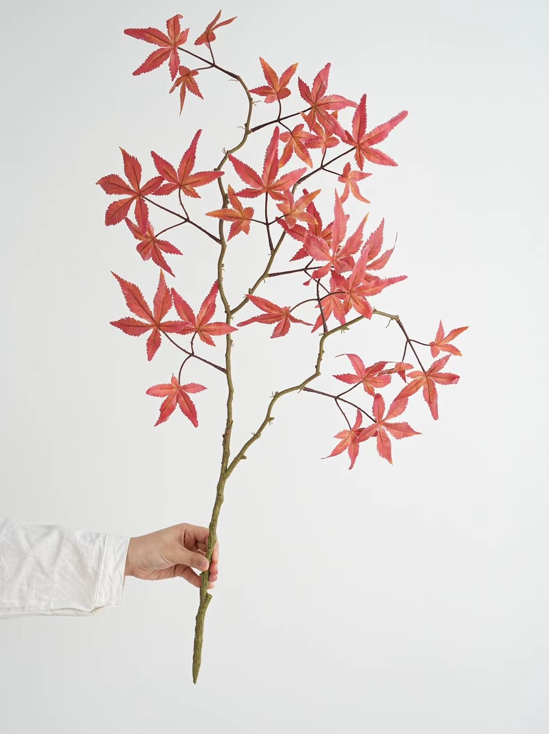 maple leaf
