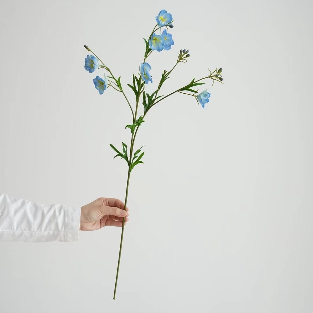 Delphinium