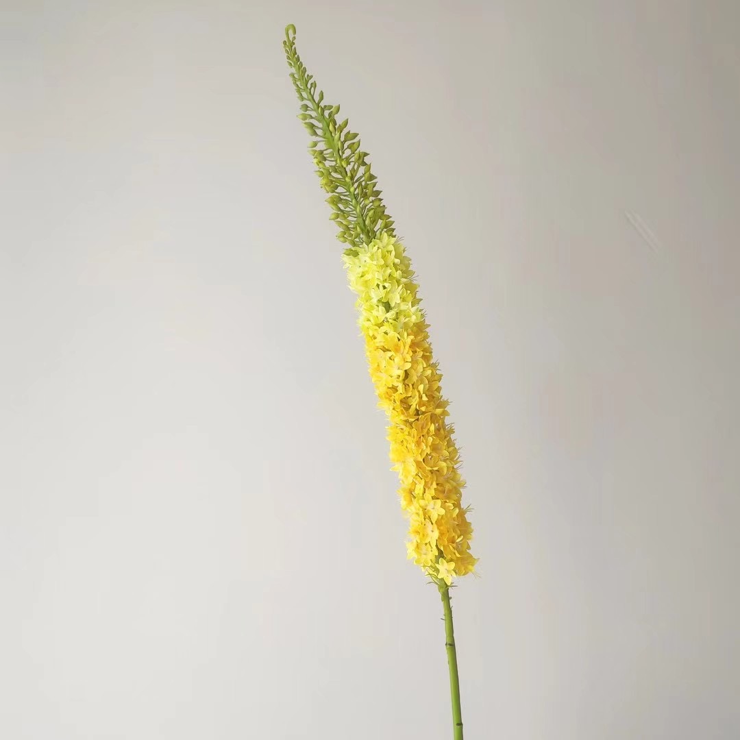 Foxtail