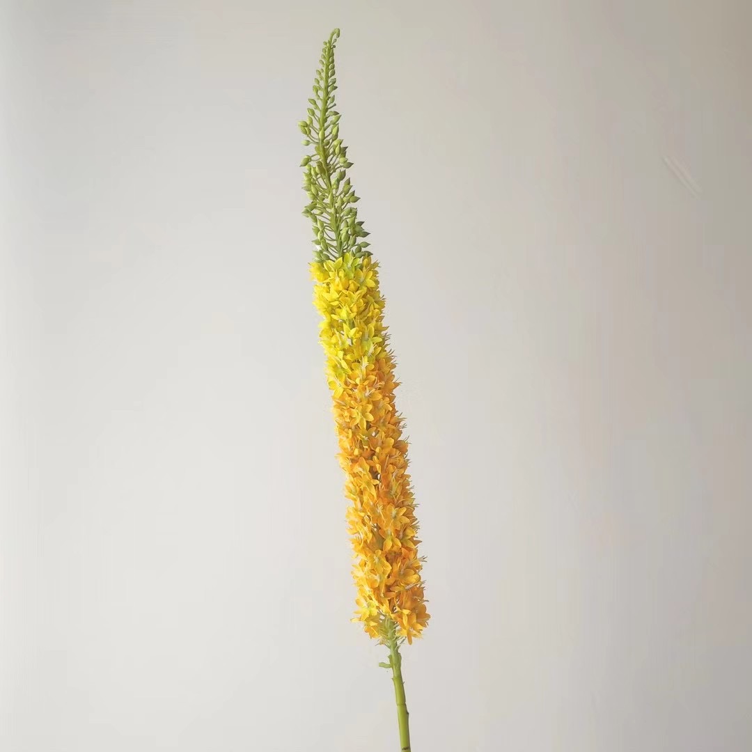 Foxtail