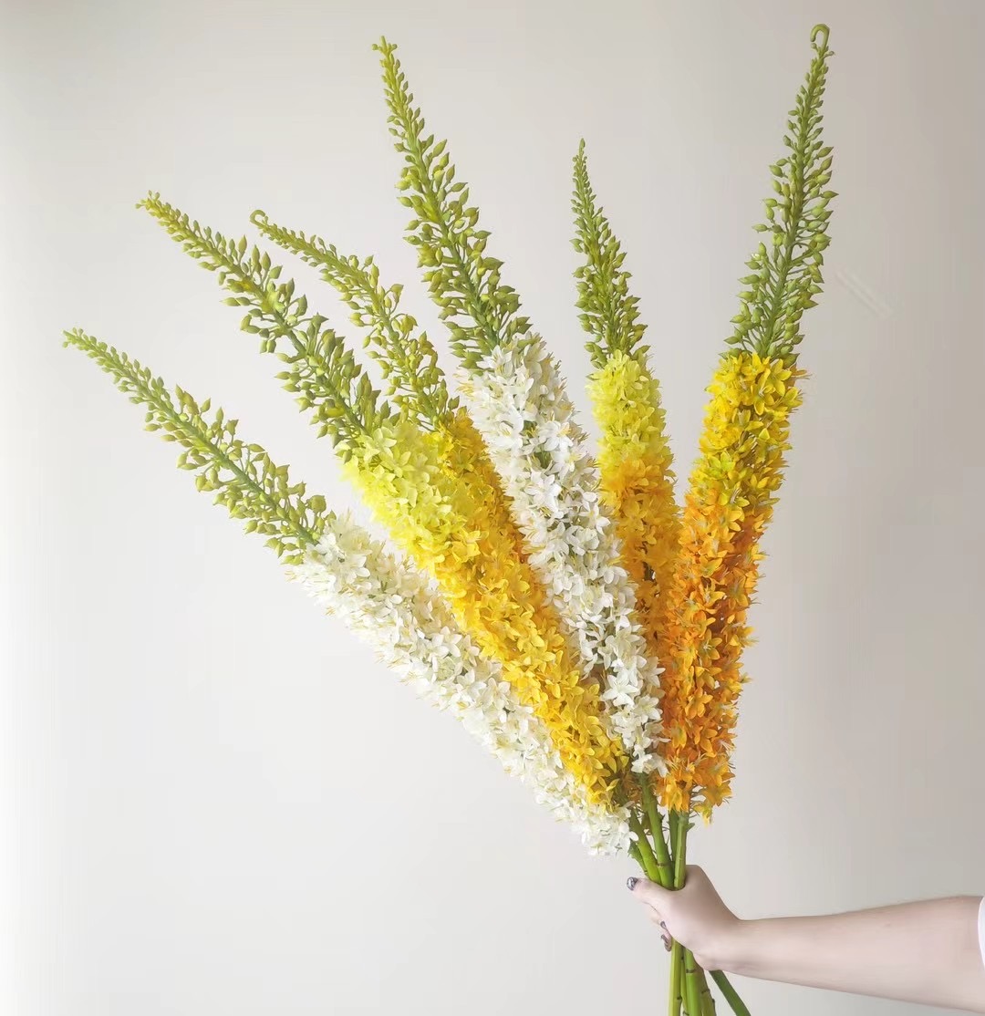 Foxtail