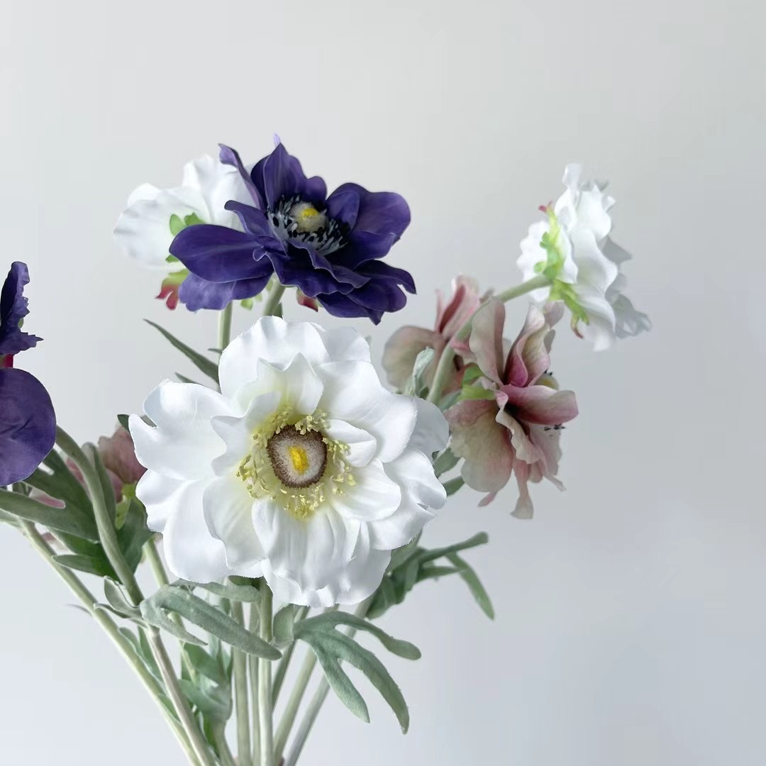 Anemone