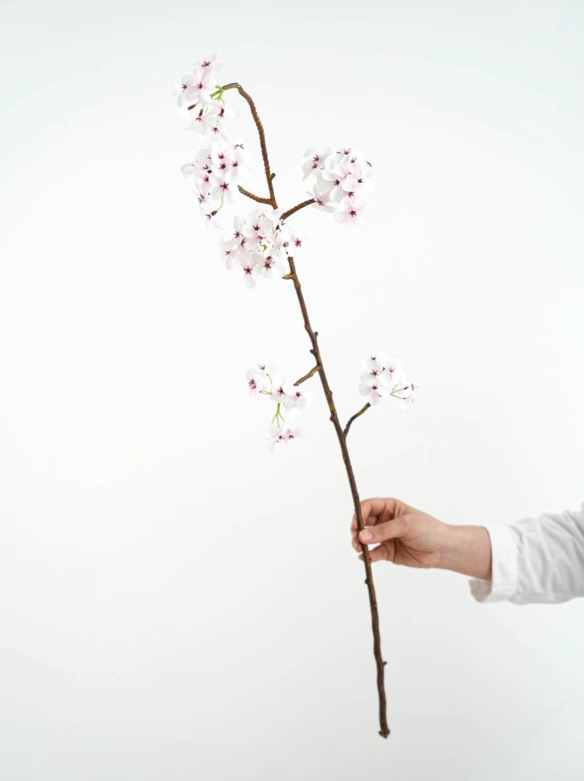 Pear tree flower