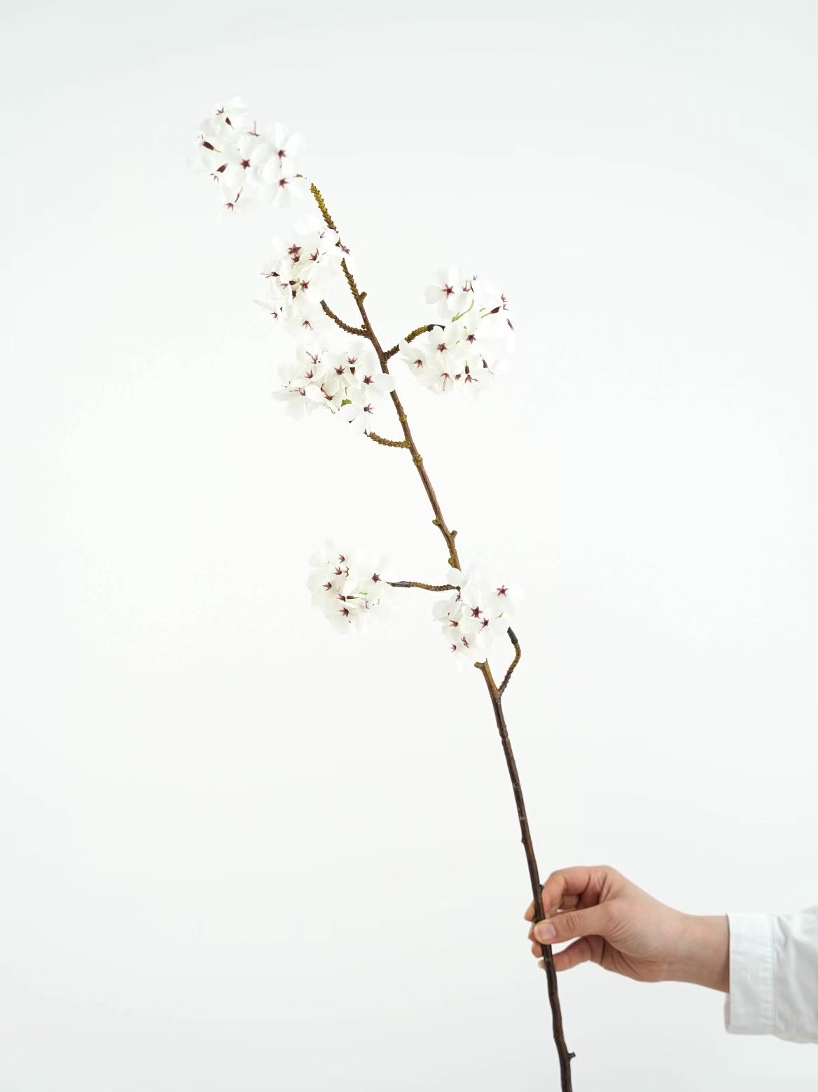 Pear tree flower