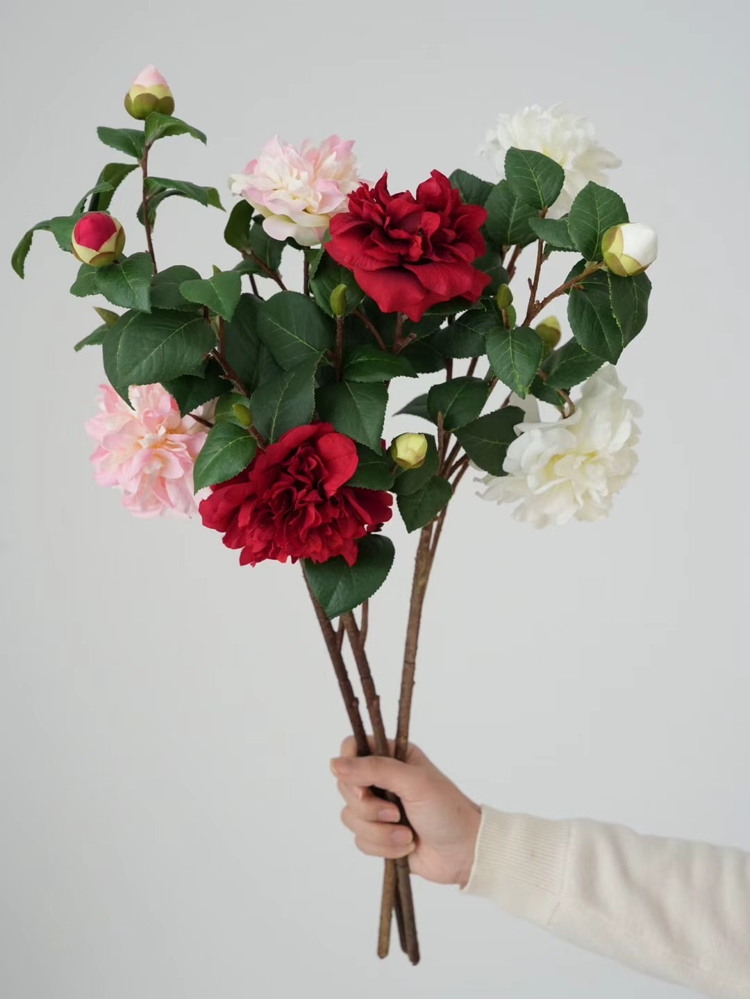 Camellia