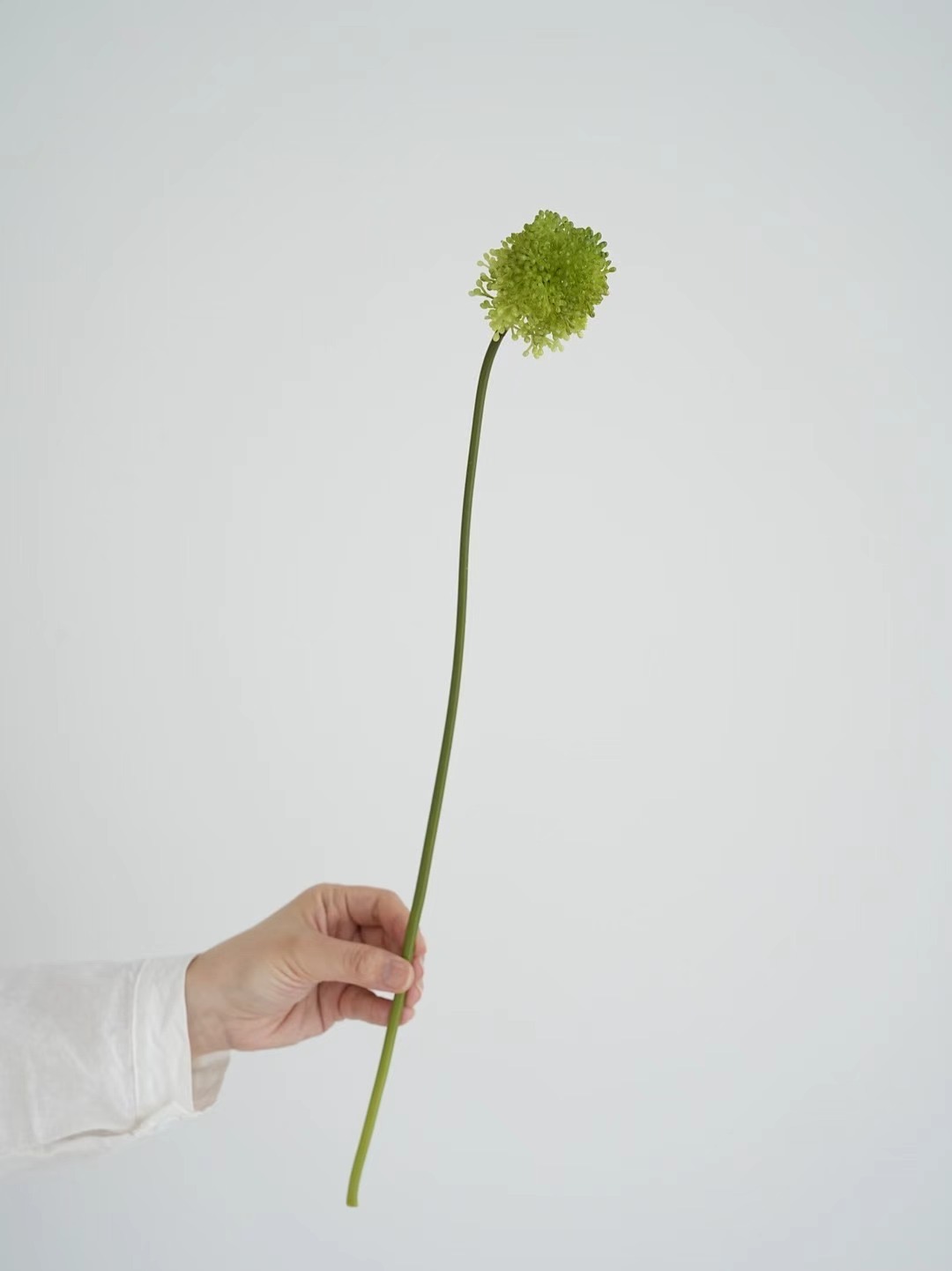 onions flower