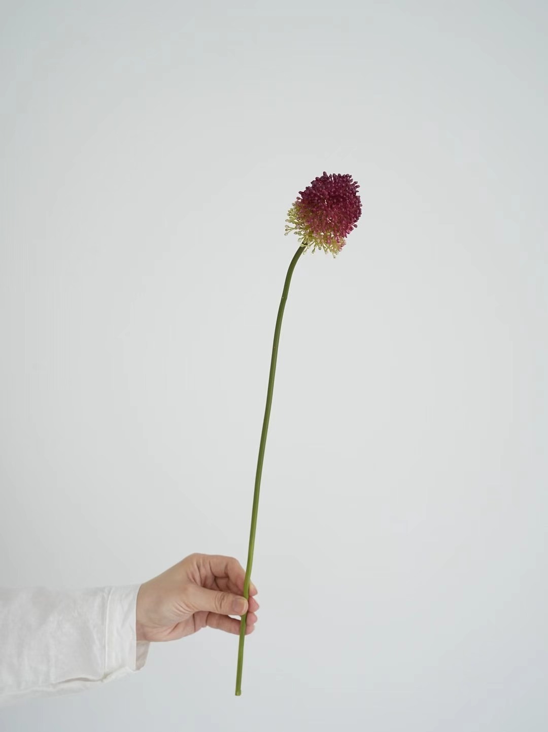 onions flower