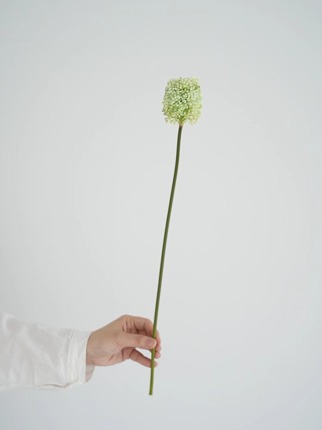 onions flower