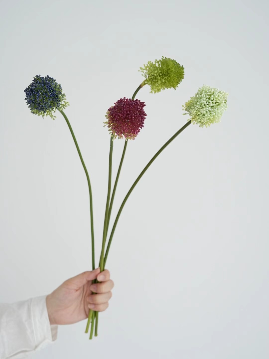 onions flower
