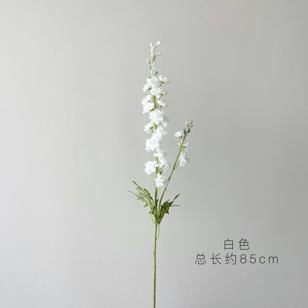 Delphinium