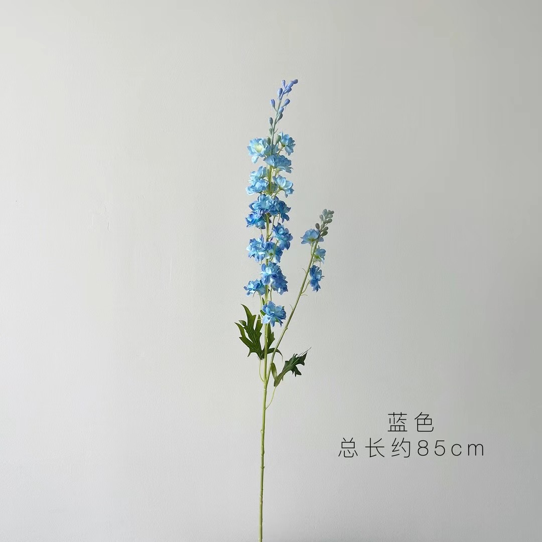 Delphinium