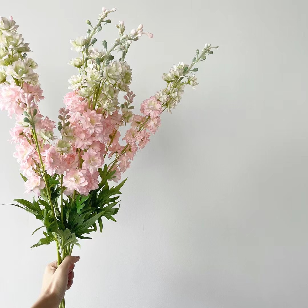Delphinium