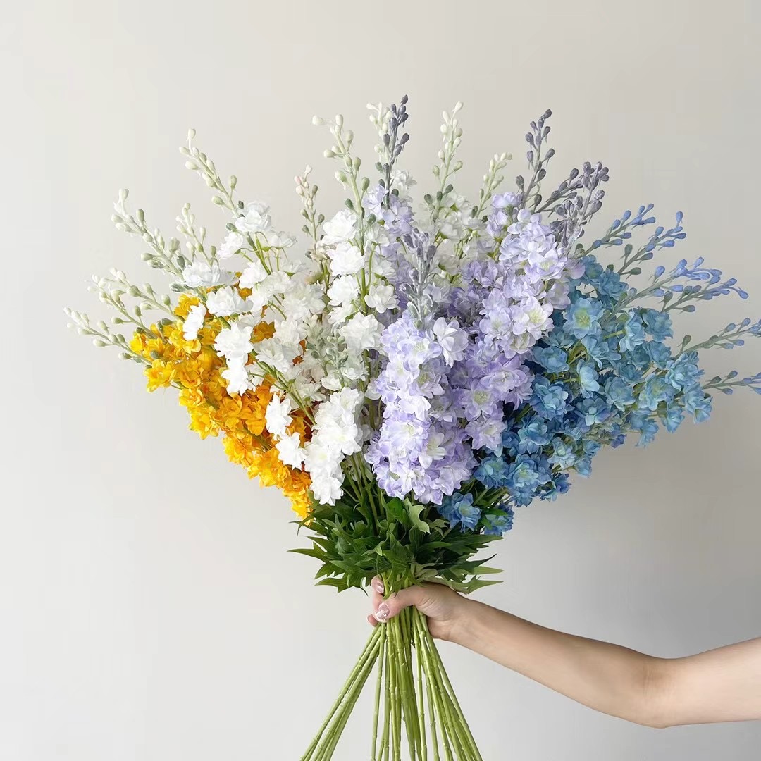 Delphinium