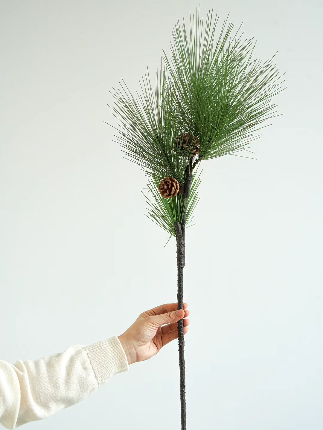 Pine Branches