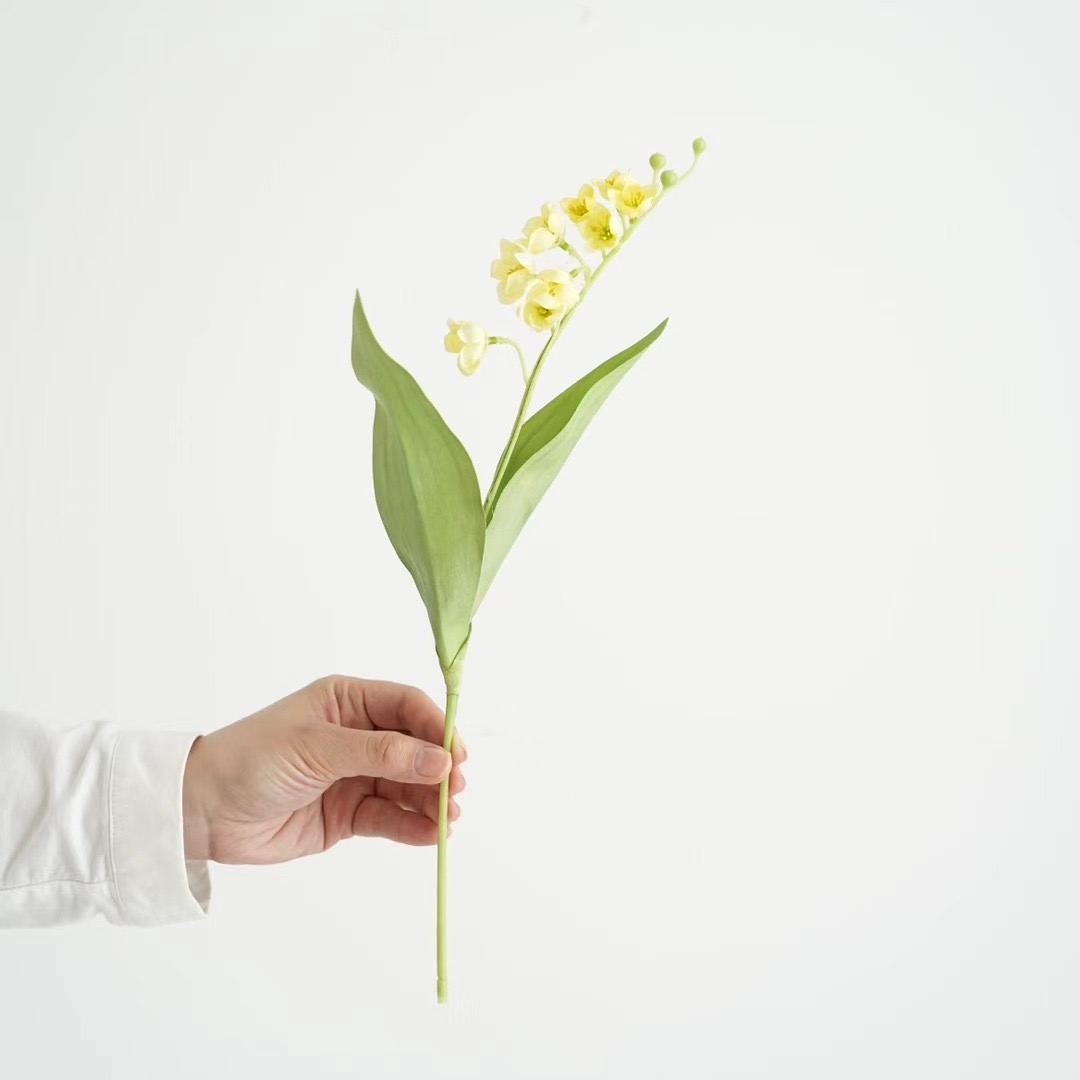 Lily of the valley