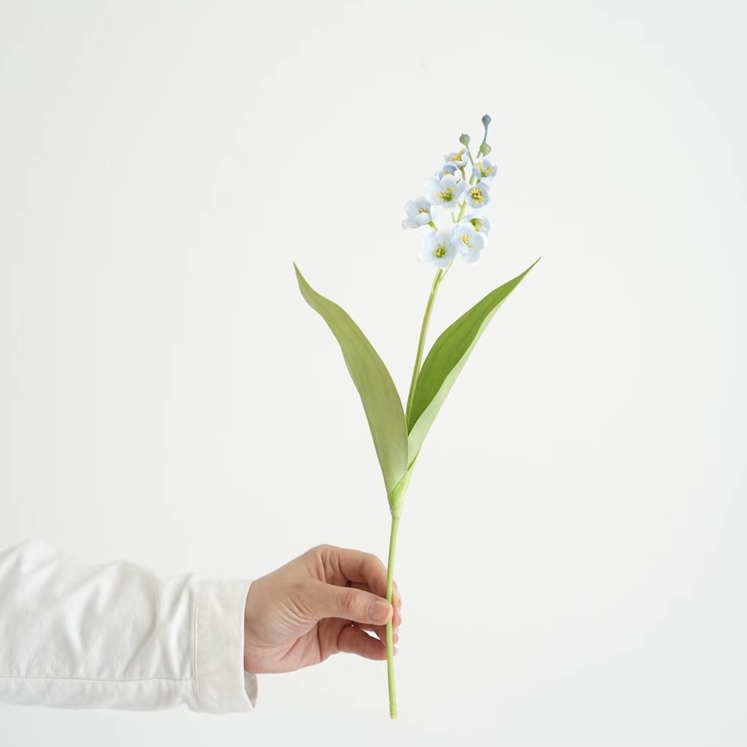 Lily of the valley