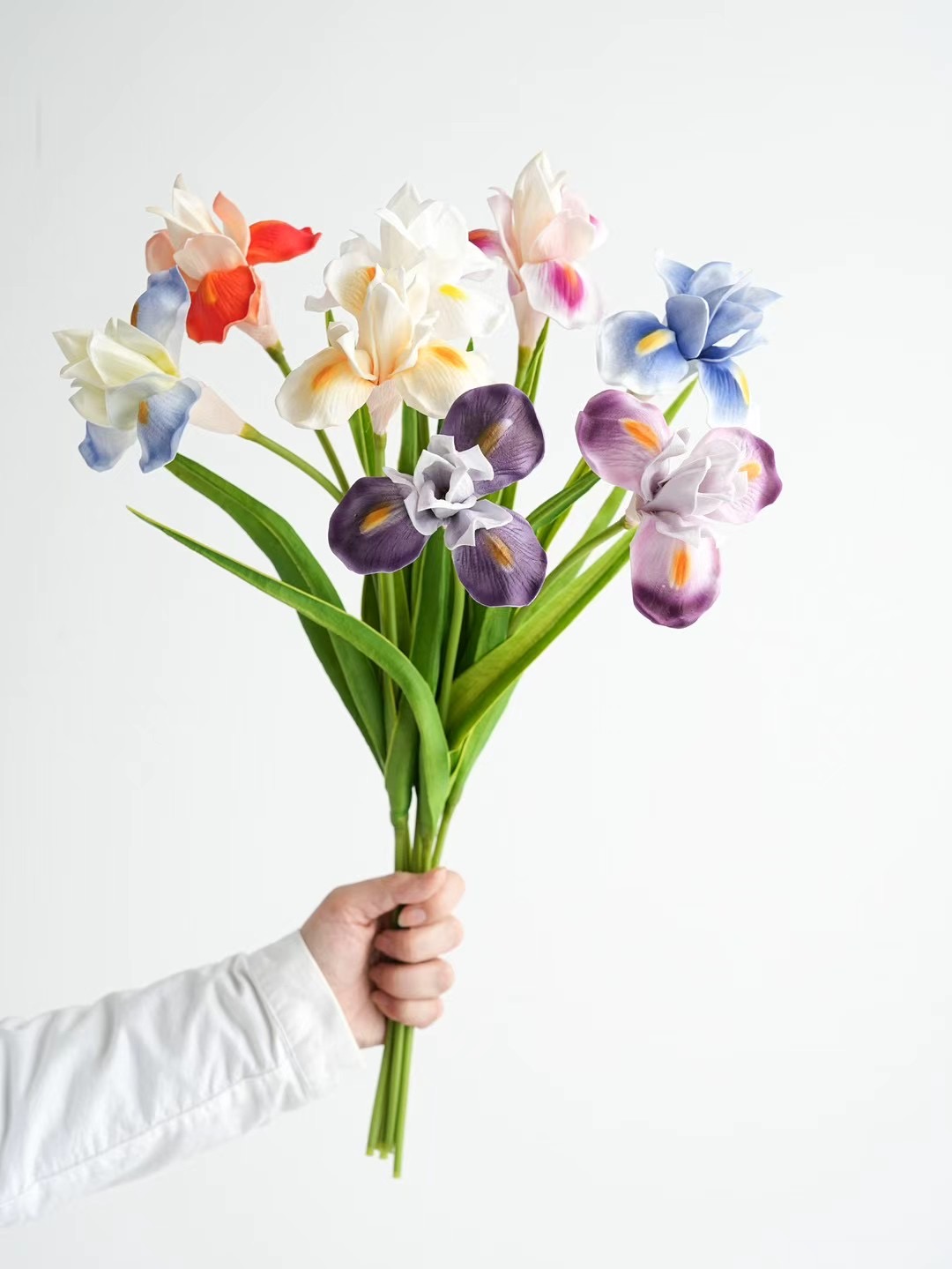 Iris