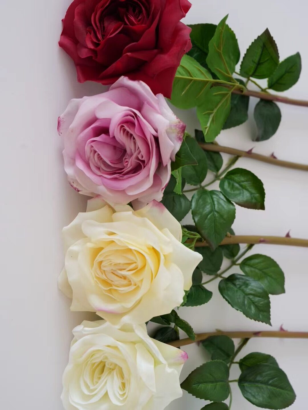 rose