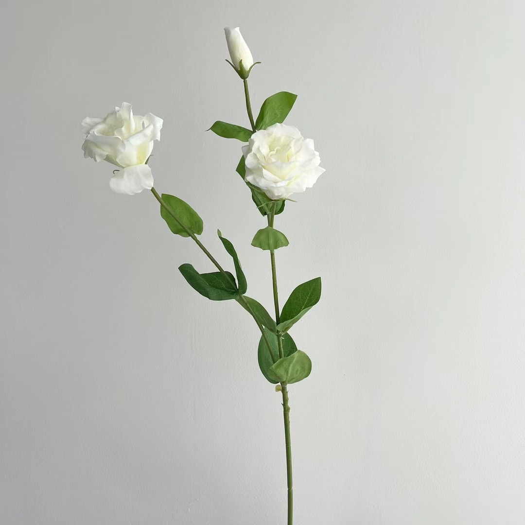 Lisianthus
