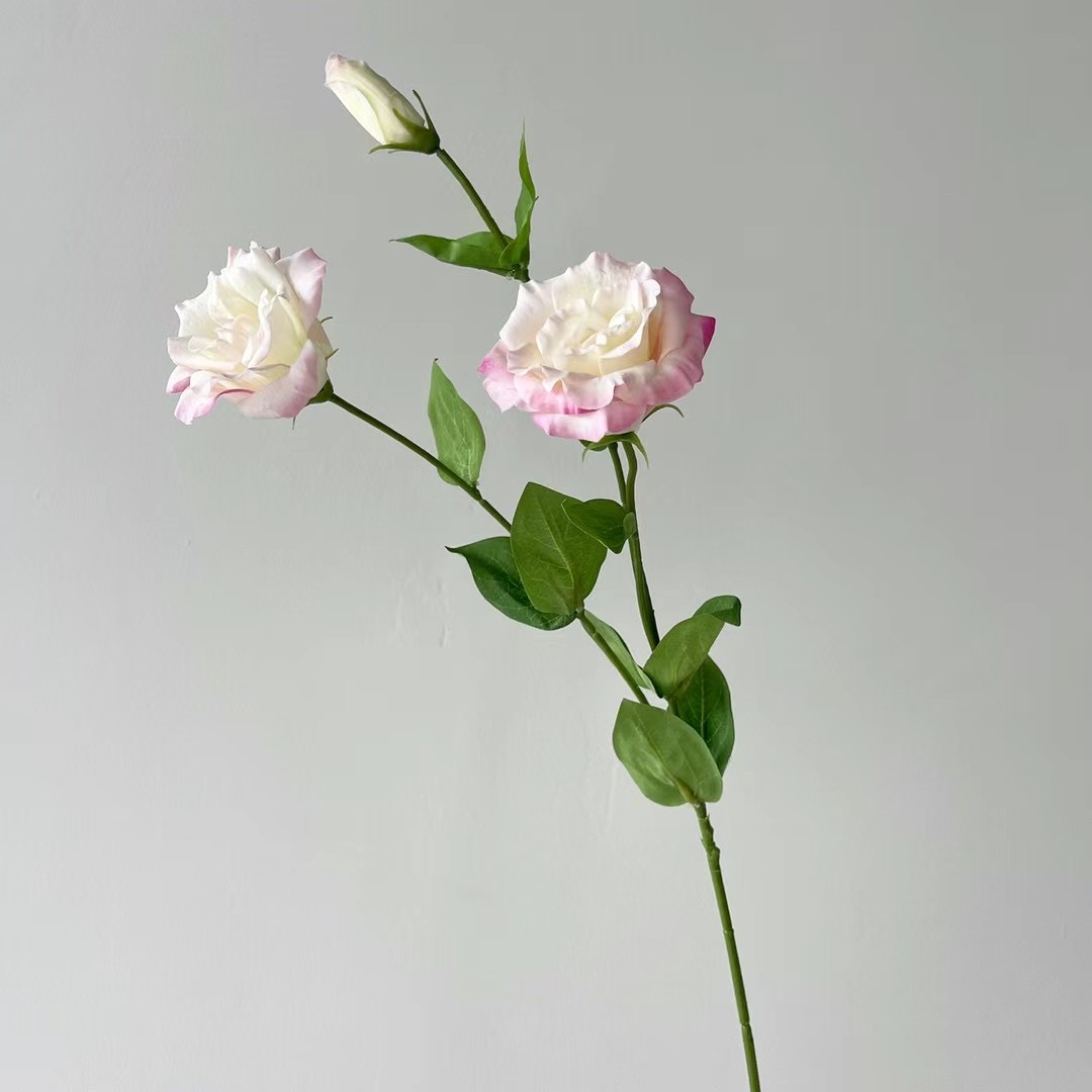 Lisianthus