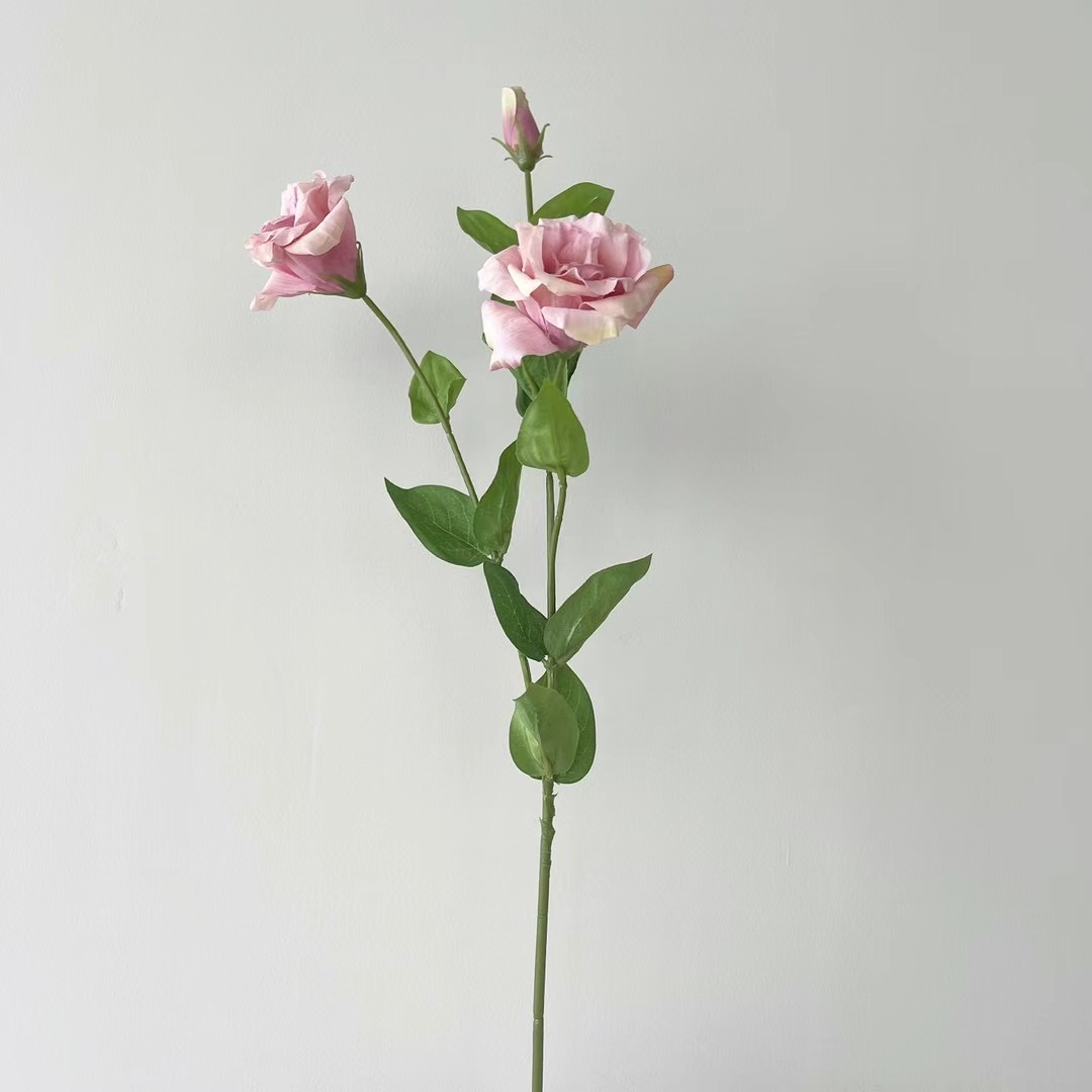 Lisianthus