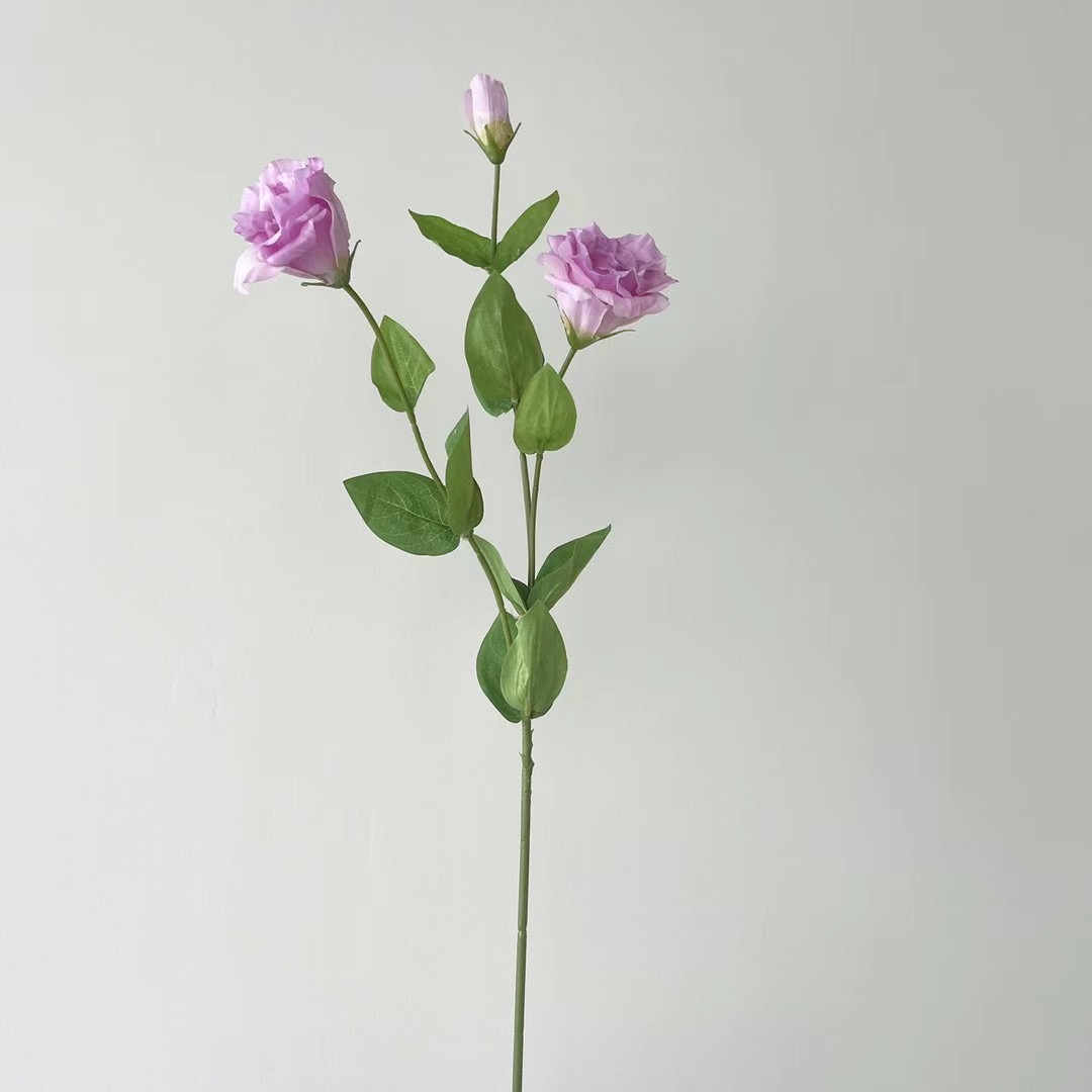 Lisianthus